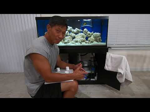 Reef Octopus Classic 152-S – Vlog 27