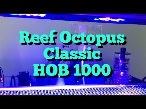Reef Octopus Classic HOB 1000