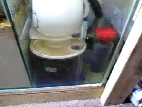 Reef Octopus Cone Sump Saver 1000 (XP-1000SSS) Protein Skimmer  /w Bubble Blaster Pump