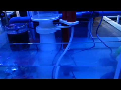 Reef Octopus equipment