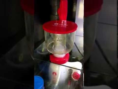Reef Octopus Essence 130 Review 105G