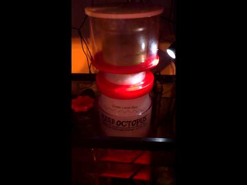 Reef Octopus Extreme XS 160 Protein Skimmer