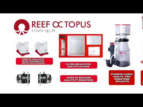REEF OCTOPUS FRANCE
