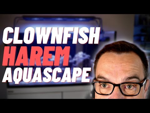 Reef Octopus Lux 90 Aquascape, Equipment, & Cycle / Aquaforest Presents Episode 04 / Clownfish Tank