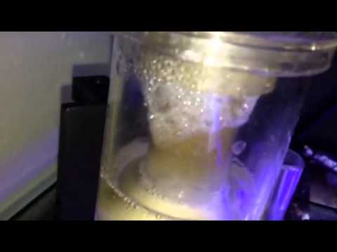 Reef Octopus NS80 Breaking In