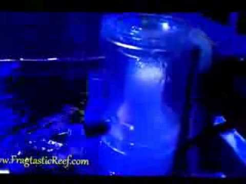 Reef Octopus NS80 Protein Skimmer
