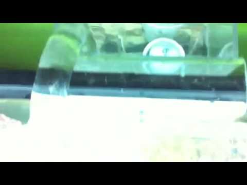 Reef Octopus NWB-110 & Lifereef Overflow