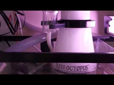 Reef Octopus NWB 200 protein skimmer