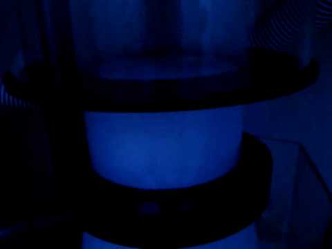 Reef Octopus NWB-200 skimmer, running in a 90 gallon mixed reef