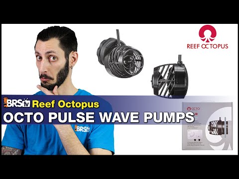 Reef Octopus Octo Pulse : Aimable, adjustable, affordable, and all around solid reef tank powerheads