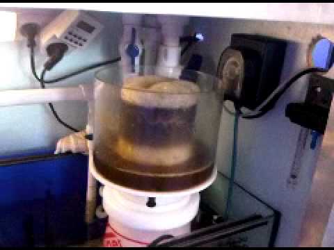 Reef Octopus – Odpieniacz XP-SSS2000