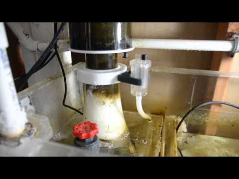 Reef Octopus POV DC1 Skimmer