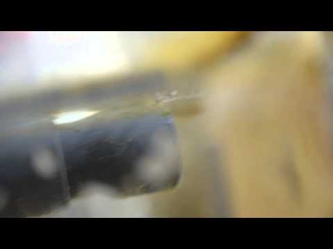 Reef Octopus POV DC1
