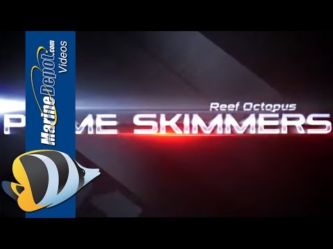 Reef Octopus Prime Protein Skimmers