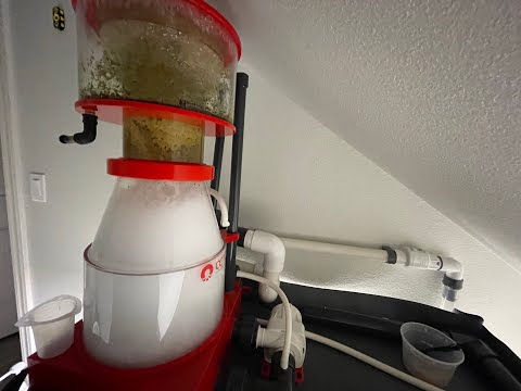 Reef Octopus Regal 250 EXT 10" Recirculating Protein Skimmer plumbing update