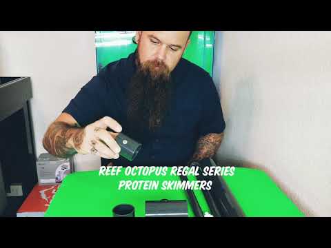 Reef octopus regal protein skimmer