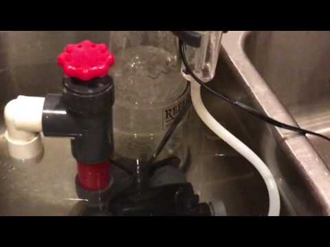 Reef Octopus Skimmer