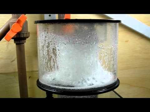Reef Octopus SRO PS 2000int – Initial Performance