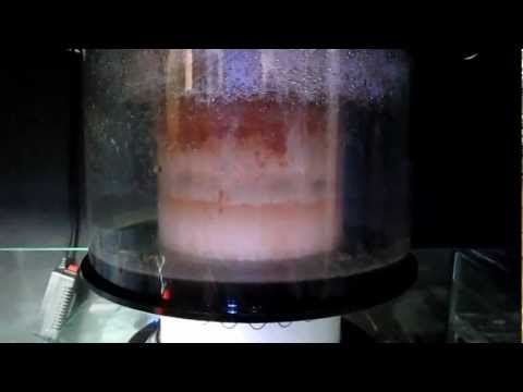 Reef Octopus SSS-3000Int Super Protein Skimmer.MOV