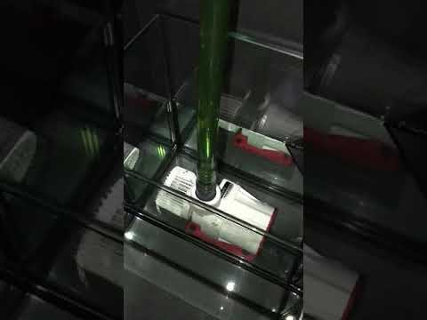 Reef Octopus Varios 2 Sound