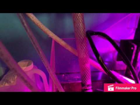 Reef Octopus Varios 6 sound level