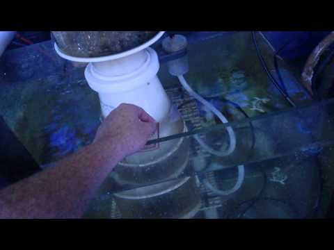 Reef octopus XP 3000 protein skimmer