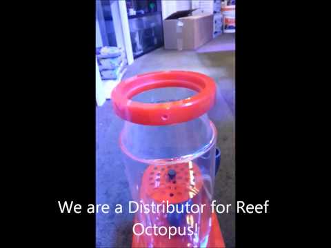 Reef Octopus XS160 Setup
