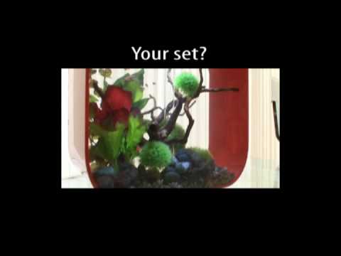 Reef One – biOrb and LIFE