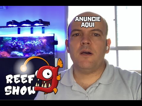 Reef Show LIVE! ANUNCIE AQUI!!!!!