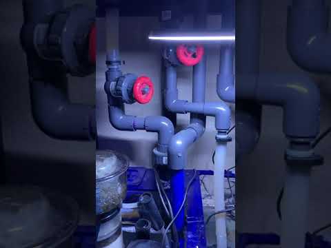 Reef tank 50 gallon innovative marine