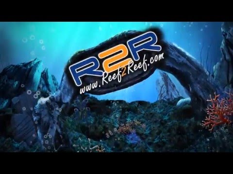 Reef2Reef TV : Product Review 6 : Kessil Ap 700