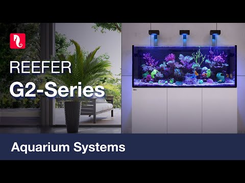 REEFER G2 – the 2nd generation of Red Sea’s reef-ready systems