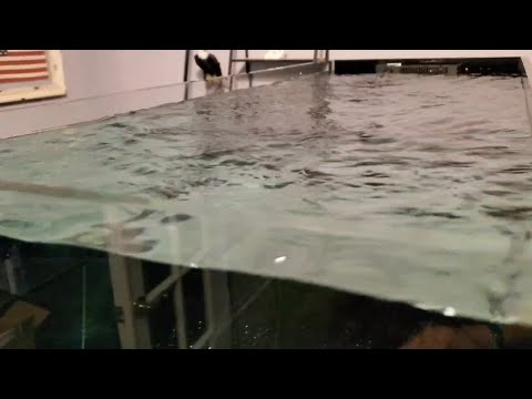 Reefing 27: Time to Water Test the Red Sea Reefer Peninsula 650