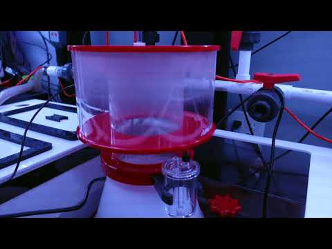 Reefing 51: Reef Octopus Regal 250INT Protein Skimmer for the Planet Aquariums Mega Matrix