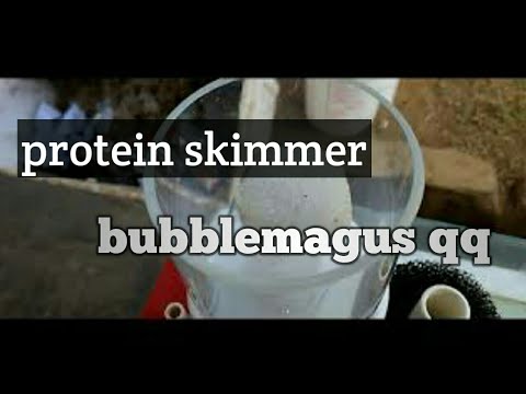 review bubble magus qq 2nd