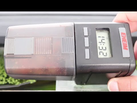Review: Comedero automático Eheim || AquaTips
