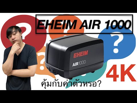 Review EHEIM AIR 1000