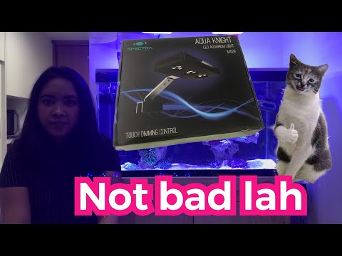 Review Lampu Murah Reef Tank Aquaknight Spectra