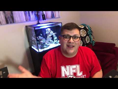 Review of 40 Gallon Innovative Marine – Innovative Marine (Ep. 3)