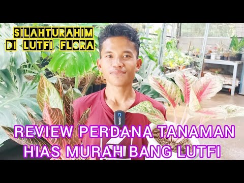 REVIEW PERDANA DI LUTFI FLORA TANHISNYA CANTIK2 DAN MURAH2