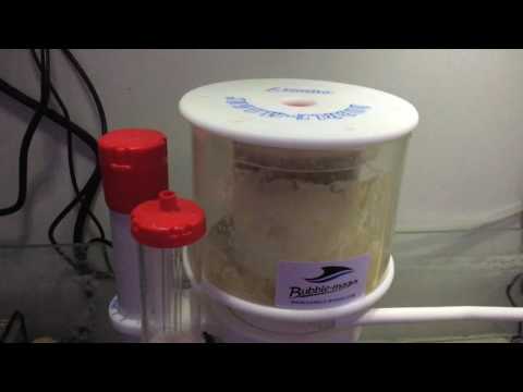 Review Skimmer Bubble Magus curve 7