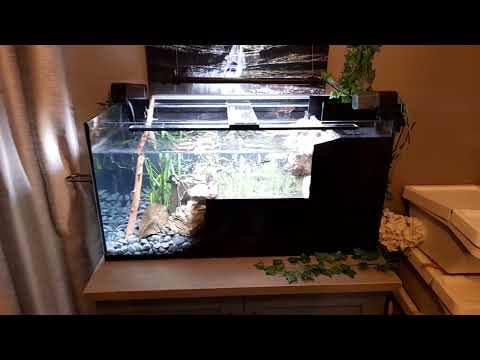 Rivers Edge (2) Planted Aquarium