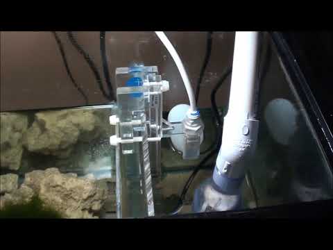 Ruben's Reef Tank. DIY Gravity ATO