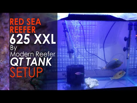 Saltwater Quarantine Setup for my Tangs | Red Sea Reefer 625 XXL Setup Continues