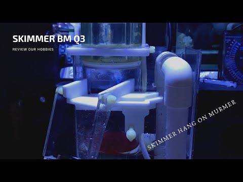 (#SALTWATERTANK REVIEW) Protein Skimmer Bubble Magus Q3