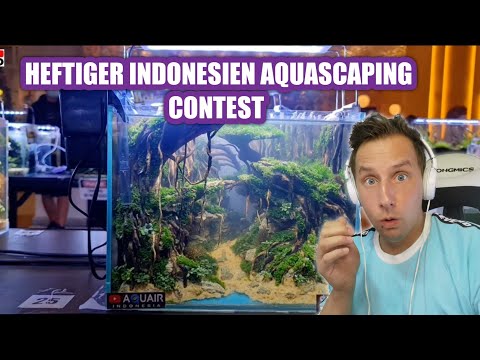 Sascha REAGIERT auf | Heftiger Aquascaping Contest in Indonesien