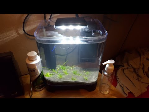 Setting up a 5L nano tank?