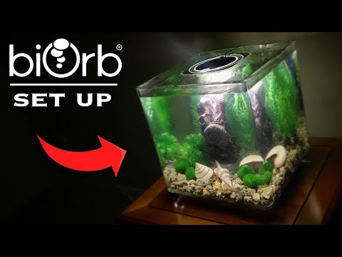 Setting up a biOrb Aquarium | PLUS Unboxing