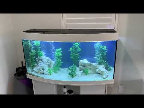 Setting up a Juwel aquarium