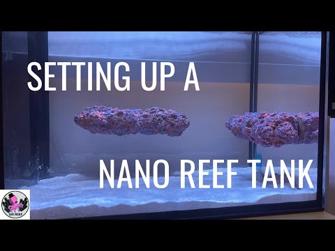 Setting Up A Nano Reef Tank | Innovative Marine Nuvo Fusion 14 Gallon Peninsula